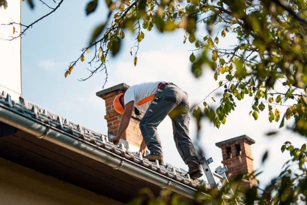 Best Chimney Flashing Repair  in Laie, HI