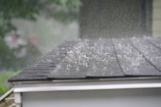 Best Roof Coating and Sealing  in Laie, HI