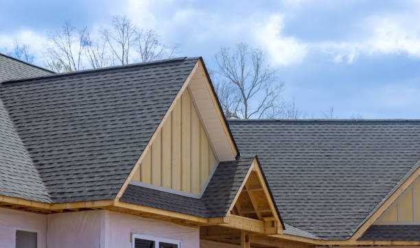 Best Solar Panel Roofing Installation  in Laie, HI